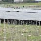 Airport Solar Farm Project