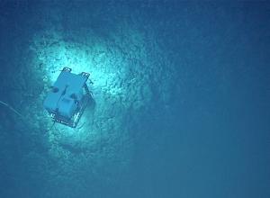 Deep Discoverer