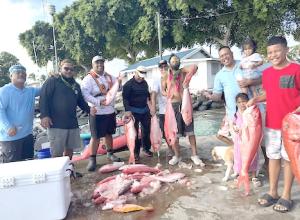 FISH DISTRIBUTION