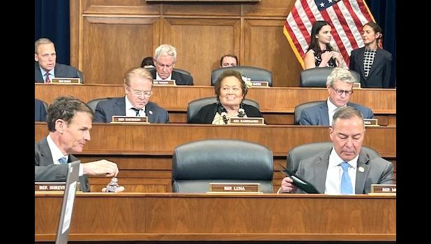 Congresswoman Uifa’atali Amata