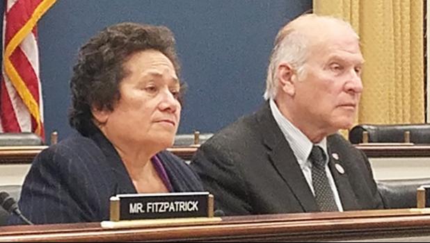 Vice Ranking Member Amata and Ranking Member Chabot 