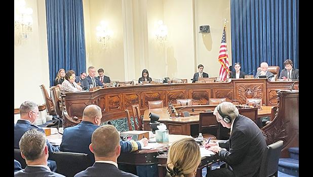 Amata speaking in committee
