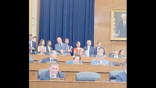 Amata in committee