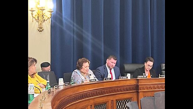 Congresswoman Uifa’atali Amata  speaking in committee