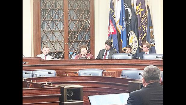 Amata speaking in committee