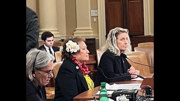 Amata testifies