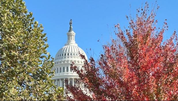 u.s. capitol building