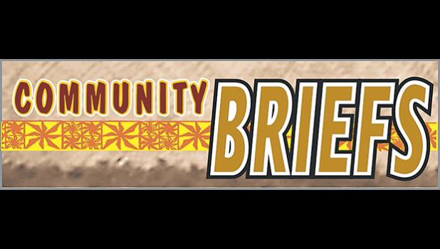 COMMUNITY BRIEFS LOGO