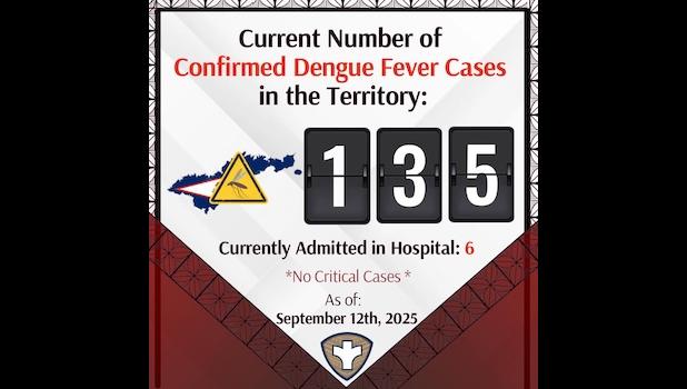 DEBGUE FEVER COUNT