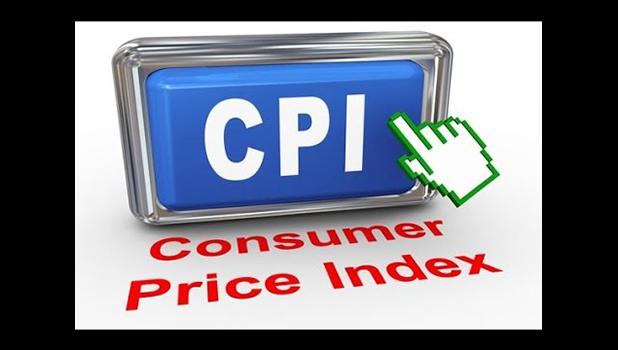 Consumer Price Index logo