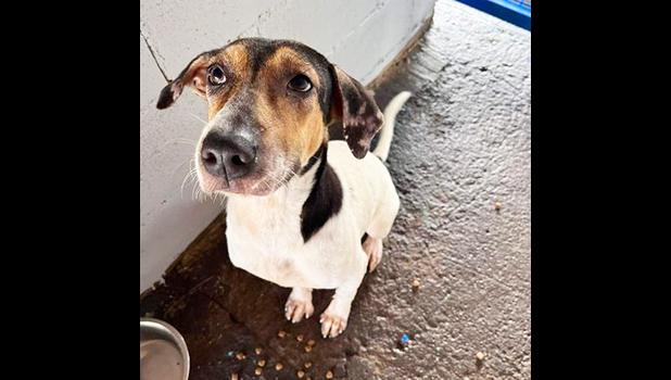 CAP needs a home.