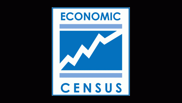 Economic census logo