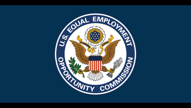 Participants will learn how to identify and prevent discriminatory practices that may arise in the workplace, along with understanding the vital importance of promoting diversity and inclusion among all employees. EQUAL OPPORTUNITY EMPLOYMENT LOGO
