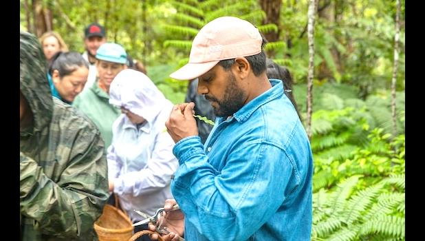 indigenous educators 