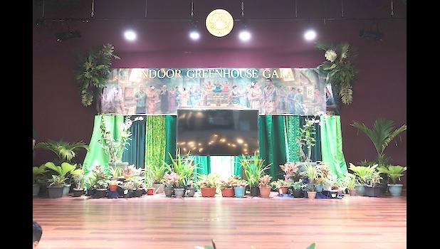 Local annual Arbor Week celebration 