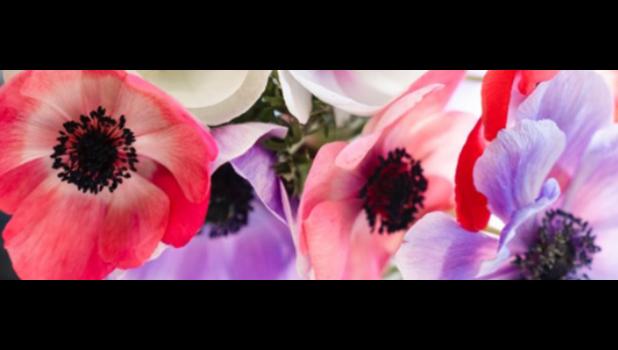 In American Samoa, mothers are blessed with support from their aiga, church and community, while we continue to work for resources to enhance our schools and health facilities that provide support to our families, Amata said in her message to mothers. Flowers