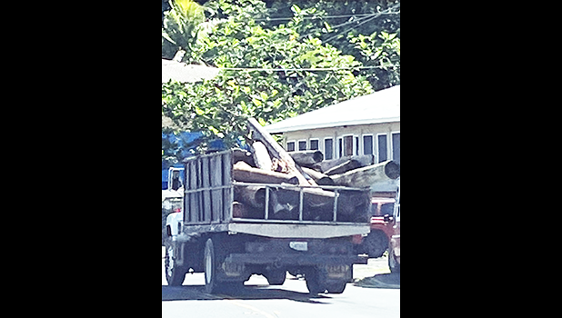 Truck hauling off debris from Alega property
