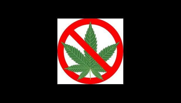 Motuga admitted to police, prior to his arrest, that he received money from the minor for selling his marijuana joints to the public. Motuga further stated to police that he also gave the minor two marijuana joints to smoke as a reward for the job he had done for him. Just say no to marijuana graphic