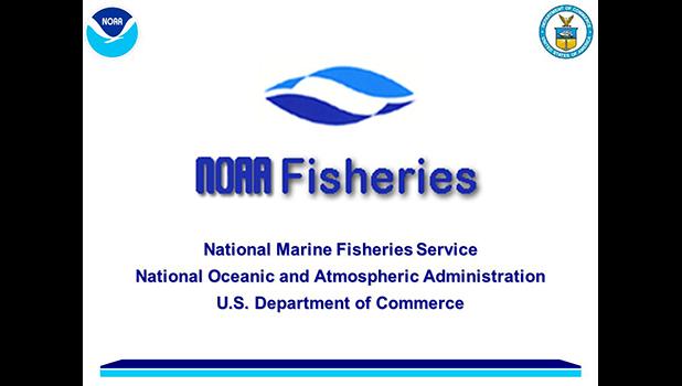 NMFS is now proposing to modify the current rule, to establish separate U.S. EEZ and high seas limits. And that NMFS would implement the limits in this proposed rule to remain effective until they are replaced or amended, according to the NMFS public notice issued on Sept. 12. National Marine Fisheries logo