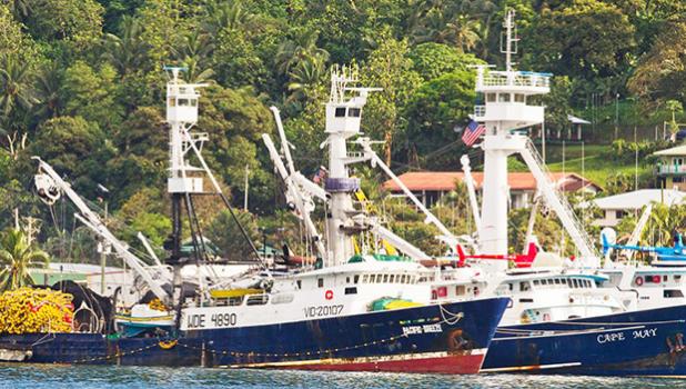 The Council requested that the National Marine Fisheries Service (NMFS) proceed with a 2015 proposed rulemaking to recognize a distinct American Samoa purse seine fleet comprised of some U.S.-flagged vessels. American Samoa’s U.S.-flagged purse seiners