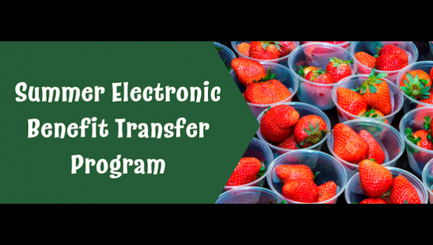 A child who is between 3-18 years old and verified by DOE as being enrolled at any point in time in a public or private school in the 2024-2025 school year automatically qualifies to receive 2025 S-EBT benefits. S-EBT