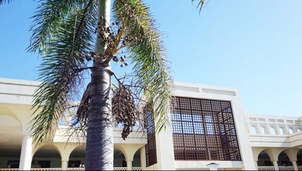 Prichard had pleaded guilty to joint charges of possession of methamphetamine weighing 2.36g, possession of 3 marijuana branches, possession of utensils, and possession of ammunition without a permit. Samoa Supreme Court building