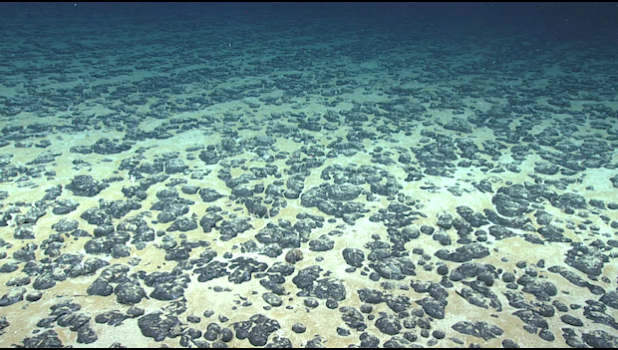 Polymetallic nodules, such as those shown here, can occur on the ocean floor and are of interest for the critical minerals they contain. (Image credit: NOAA) Polymetallic nodules