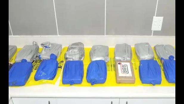 Nineteen packages alleged to be containing cocain