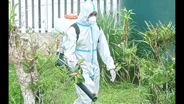 SPRAYING TO PREVENT DENGUE FEVER