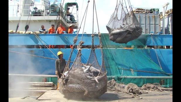 unregulated fishing
