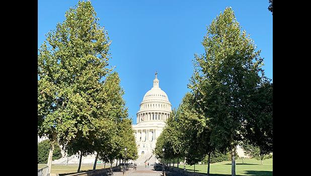 U.S. Capitol building