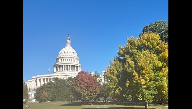 u.s. capitol building in the autumn
