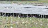 Airport Solar Farm Project