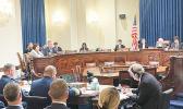 Amata speaking in committee