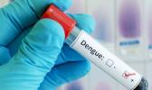 dengue fever test tube