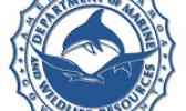 In an official press statement, the DMWR is actively seeking information from the community regarding this unusual occurrence. DMWR logo
