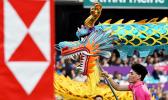 One of many incredible dragons 