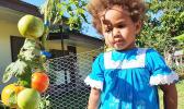  A child inspects tomatoes