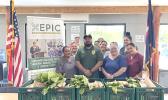 bok choy donation