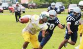 Leone Lions ball carrier breaking out to the sidelines