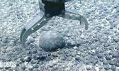mechanical claw picks up nodule