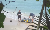 FISH AGGREGATING DEVICE