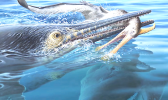 ARTWORK BASED ON FOSSILS