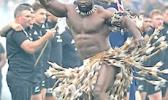 Traditional Impi Warrior