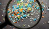 Microplastics