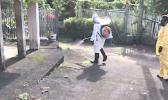 SPRAYING TO PREVENT DENGUE FEVER