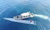 The narco sub