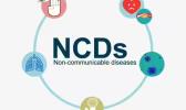 It said the report underscores that NCDs are driven not only by individual choices but by broader factors - including food systems and marketing. NCD GRAPHIC