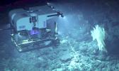 NOAA ROV