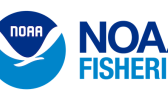 The bill directs NOAA Fisheries and the National Institute of Standards and Technology (NIST) to jointly develop a standard methodology for country-of-origin testing. NOAA FISHERIES LOGO